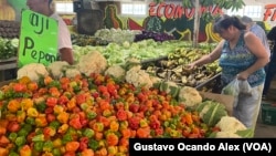 Una cliente escoge sus productos en un mercado de verduras y frutas en Maracaibo, Venezuela, en julio de 2023. La inflación de alimentos y otros bienes y productos en el país suramericano fue de 182,9% entre enero y noviembre de este año.