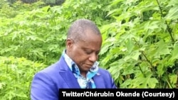 Chérubin Okende, molobeli ya Ensemble pour la république, azali kopesa limemya na lilita lya noomobo mama ya ya Moïse katumbi mokambi ya lingomba na ye, na Haut-Katanga, 14 sanza ya yambo 2023. (Twitter/Chérubin Okende)