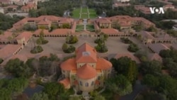 Jelena Vučković: Naučnici predstavljaju Srbiju u najboljem svetlu