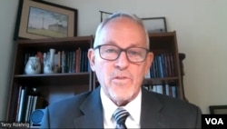 테렌스 로리그 미 해군전쟁대학 교수