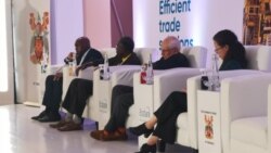 Udaba Esilwethulelwe NguNokuthaba Dlamini