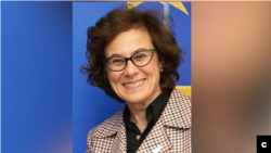 ندا النشیف. آرشیو