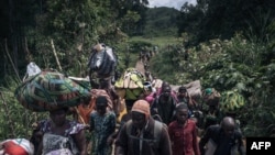 Bavandi baike ya Bambo na territoire ya Rutshuru, na 60 kms na Goma, bazali kokima bitumba ya batomboki ba M23 kati na nzamba, Nord-Kivu, 26 sanza ya zomi 2023.
