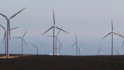 Quiz - Engineering Schools Offer Money, View into Energy Crisis