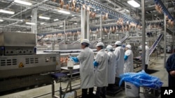 FILE - In this Dec. 12, 2019, file photo workers process chickens at the Lincoln Premium Poultry plant, Costco Wholesale's dedicated poultry supplier, in Fremont, Neb.