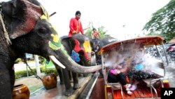 FILE - An elephant blows water from its trunk onto tourists in Ayutthaya province, central Thailand. A recent report by World Animal Protection found that Thailand is home to three-quarters of all elephants kept in captivity for entertainment purposes.