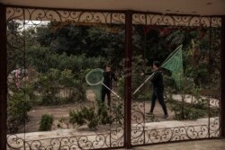 In this Feb. 14, 2020 photo, Egyptian Vets for Animal Care, the country's first spay and neuter program based carry nets to catch dogs and give them rabies shots, in Cairo, Egypt. (AP Photo/Nariman El-Mofty)