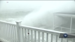 Найсильніші морози за останні кількадесят років переживає східне узбережжя США. Відео