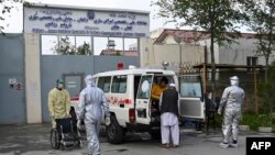 تیر ۲۴ ساعتونه په لسو ولایتونو کې له کرونا ویروس څخه ۲۰۲ تنه بیرته روغ شوي دي 