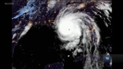 На Флориду наступає ураган «Майкл». Відео