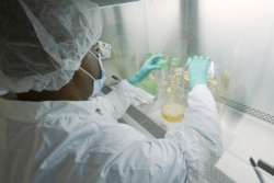 FILE - In this May 2020 photo provided by Eli Lilly, a researcher tests possible COVID-19 antibodies in a laboratory in Indianapolis. (David Morrison/Eli Lilly via AP, File)