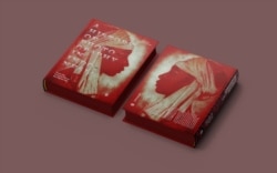 Buku A History of Photography in Indonesia: Essays on Photography from the Colonial Era to the Digital Age” karangan Brian Arnold.