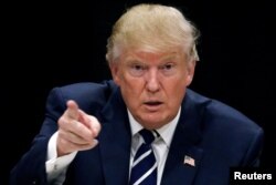 FILE - President-elect Donald Trump.