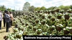Filipe Nyusi e militares moçambicanos em Cabo Delgado.