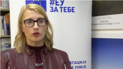 Zamenica ambasadora Delegacije EU u Srbiji, Mateja Norčič Štamcar, Foto: video grab