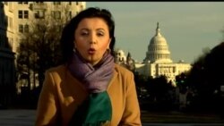 Kongress - AQSh jamiyati ko'zgusi/Diverse Congress