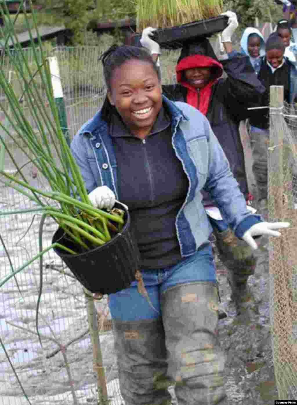 Volunteers do service projects to rebuild the wetland in the Anacostia River. (Anacostia Watershed Society)