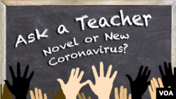 Novel or New Coronavirus?