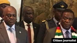 President Emmerson Mnangagwa and Botswana President Mokgweetsi Masisi 