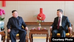김정은 북한 국무위원장과 시진핑 중국 국가주석이 베이징 호텔 북경반점에서 부부동반 오찬에 앞서 환담하고 있는 모습을 북한관영 '조선중앙통신'이 지난해 1월 공개했다. 