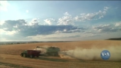 Які загрози становить коронавірус для американських фермерів. Відео