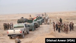 پیشمرگه های کرد موثرترین نیروی زمینی در جنگ بر ضد داعش بوده است.