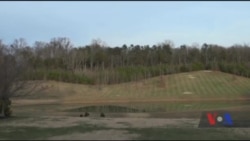 Ось як виробляють сидр на заводі в штаті Вірджинія. Відео