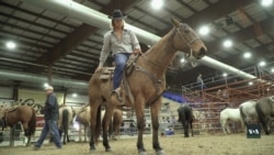 Родео - мега популярна розвага провінційної Америки. Відео
