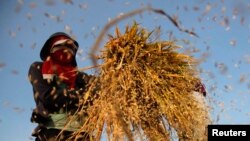 U.S. Secretary of State John Kerry walks with Yusuf bin Alawi bin Abdullah, Oman's Minister of Foreign Affairs, during a meeting of Gulf foreign ministers at Riyadh Air Base, Saudi Arabia, March 5, 2015.