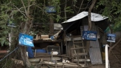 Cats rest near a shelter built for them by volunteers from Animal Heart Protectors on Furtada Island, popularly known as “Island of the Cats,” in Mangaratiba, Brazil, Tuesday, Oct. 13, 2020. (AP Photo/Silvia Izquierdo)