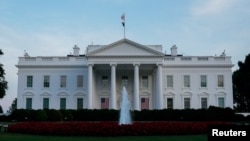 نمایی از ساختمان کاخ سفید در شهر واشینگتن - آرشیو