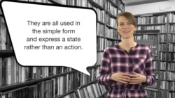 Everyday Grammar: Stative Verbs