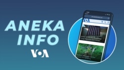 Fenomena Penggunaan Media Sosial Masa Kini