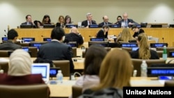 인권 문제를 다루는 유엔총회 제3위원회 회의가 열리고 있다. (자료사진)