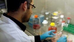 Quiz - Experimental Therapy Saves Boy With Rare Disease