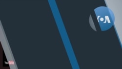 Explainer: What is a Virus?