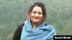 آتنا دائمی، فعال حقوق بشر