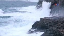 በስደተኞች ላይ የተሰሩ ሁለት ጥናታዊ ፊልሞች ለኦስካር ሽልማት ታጩ