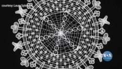 Історія мисткині, яку пандемія надихнула на нові творчі ідеї. Відео